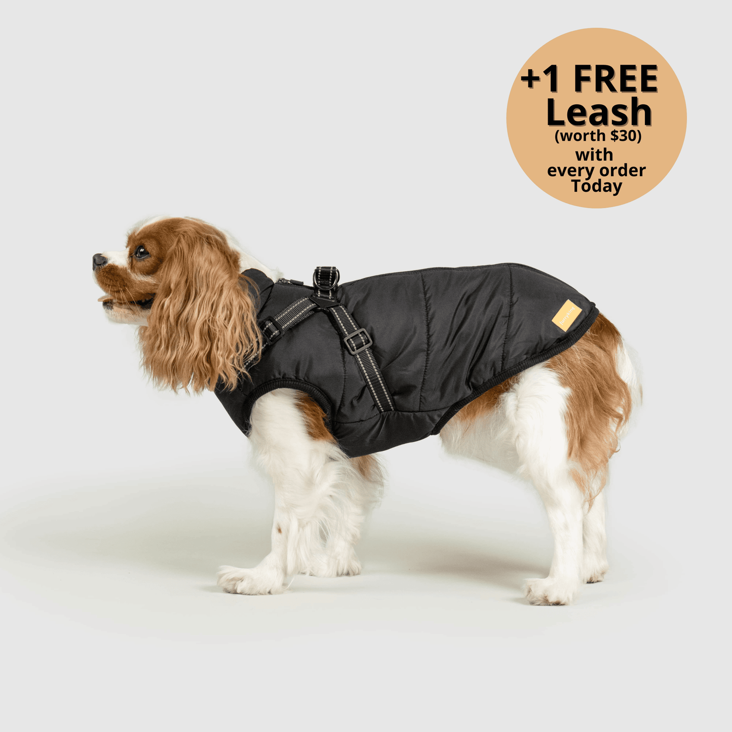 Oppetz™ 3 in 1 Winter Jacket