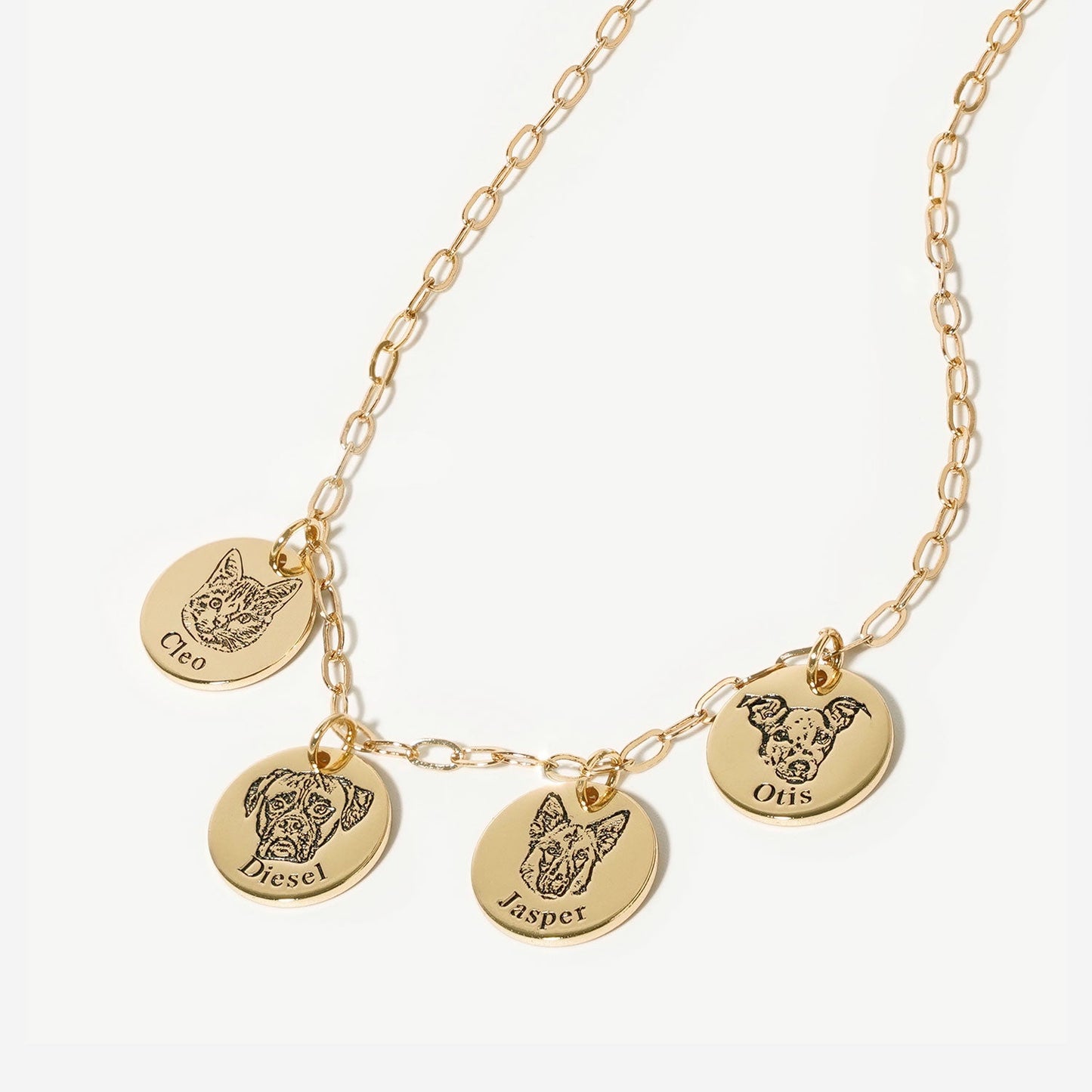 Paperclip Pet Face Necklace