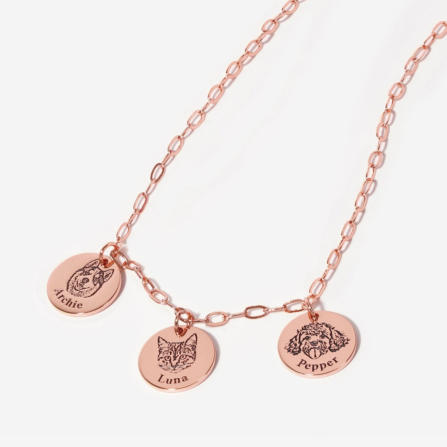 Paperclip Pet Face Necklace